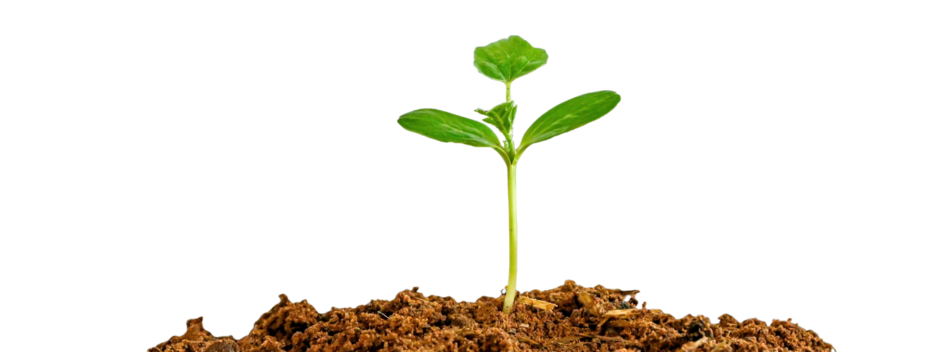 Sustentabilidade Draco